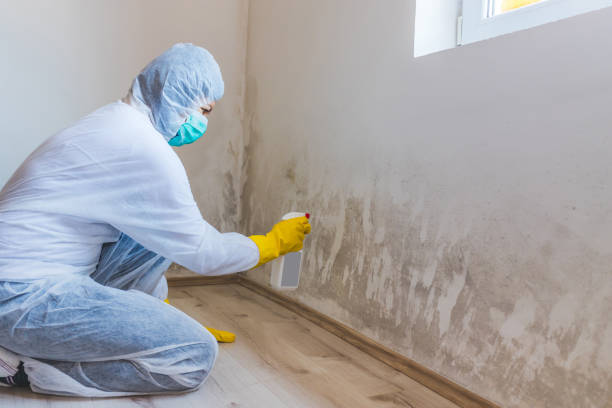 Bathroom Mold Removal assessment in Milton bathroom